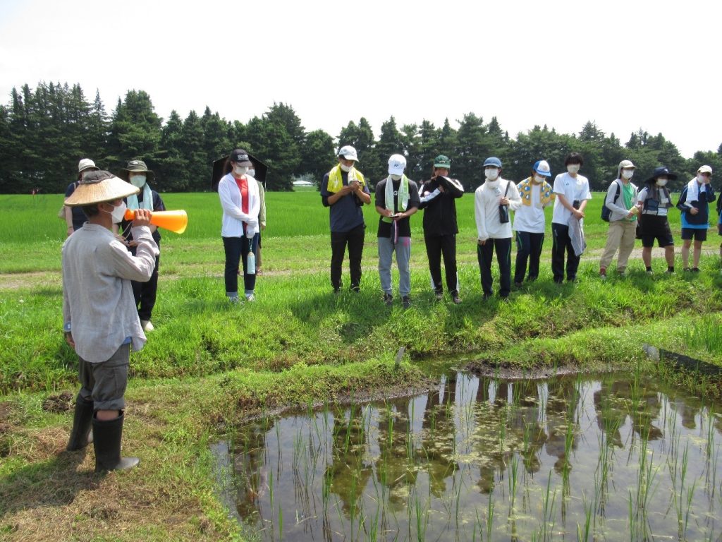 公開講座「第3回　大学農場で体験する食と農と生物学」を開催しました