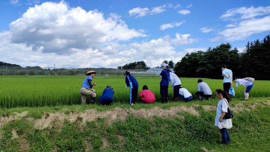 R5.7.26 公開講座「大学農場で体験する食と農と生物学」を開催いたしました。