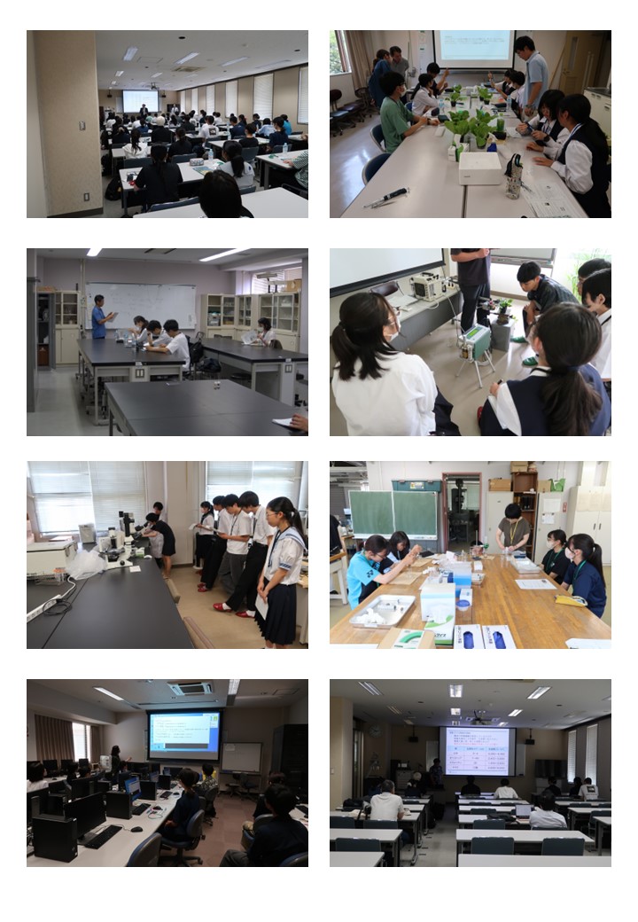 R6.7.6　公開講座　『第28回農学部５学科 「植物生命科学科」「応用生物化学科」「森林科学科」 「食料生産環境学科」「動物科学科」の実験講座』を開催いたしました