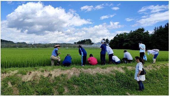 R6.7.31　公開講座「大学農場で体験する食と農と生物学」を開催いたしました