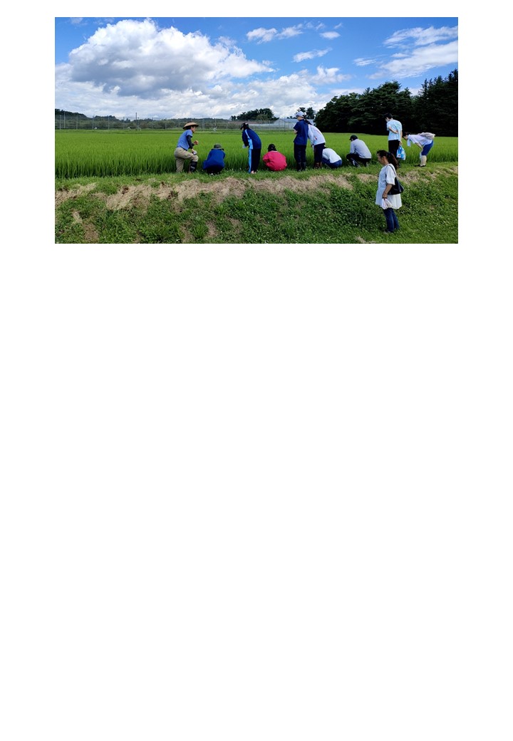 R6.7.31　公開講座「大学農場で体験する食と農と生物学」を開催いたしました