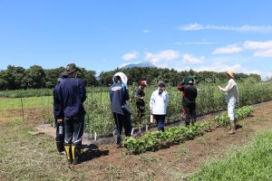 R7.7.29　公開講座「大学農場で体験する食と農と生物学」を開催いたしました。
