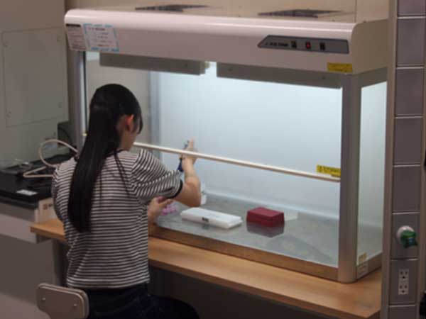 遺伝子をすげ替えてみよう！